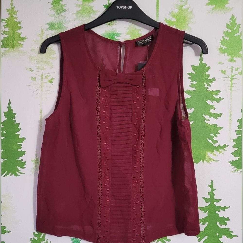 New Topshop Size 2 Sheer Pleated Bow Blouse.